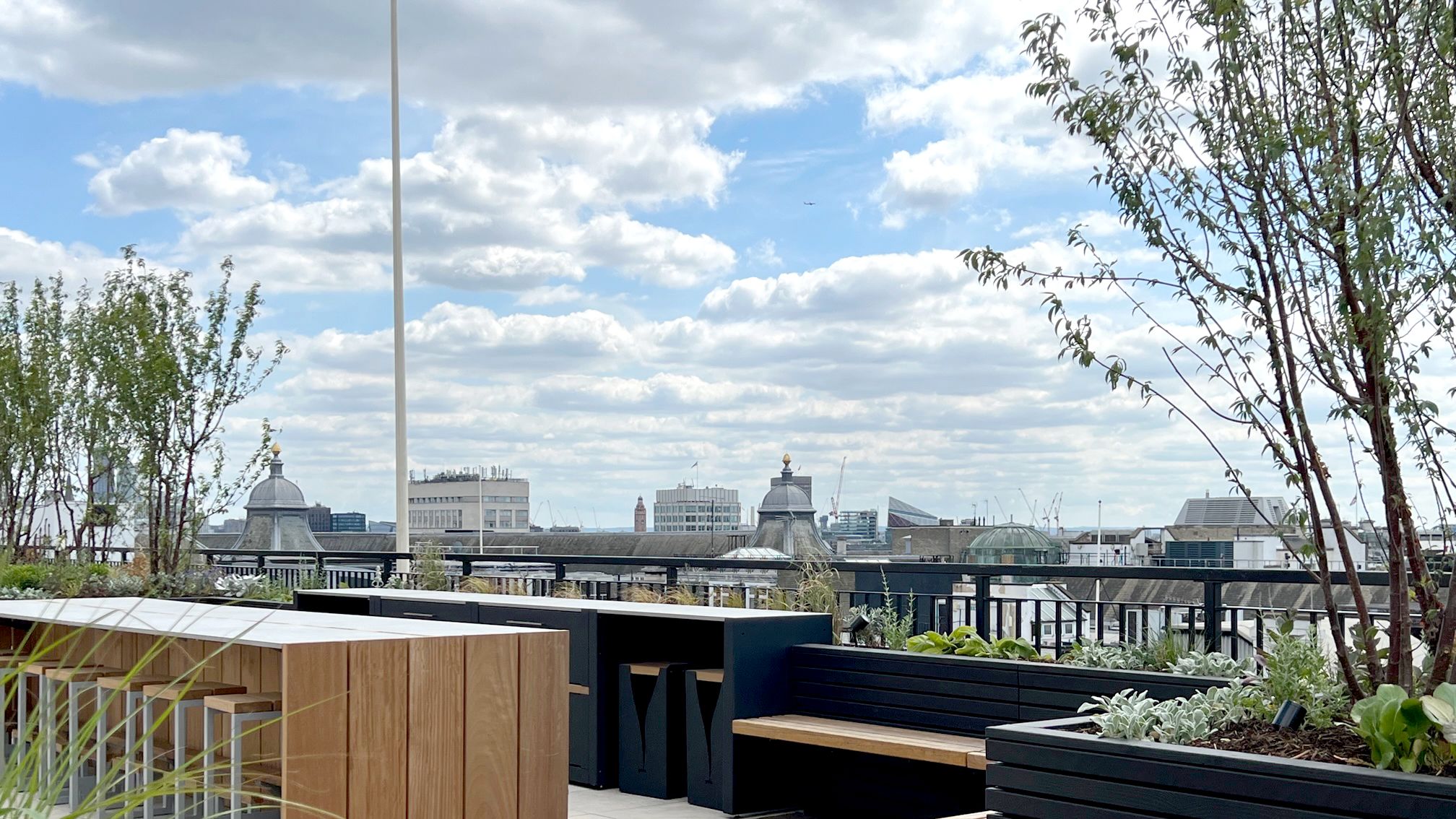 Image may contain: Nature, Outdoors, Scenery, Plant, Bench, and Furniture