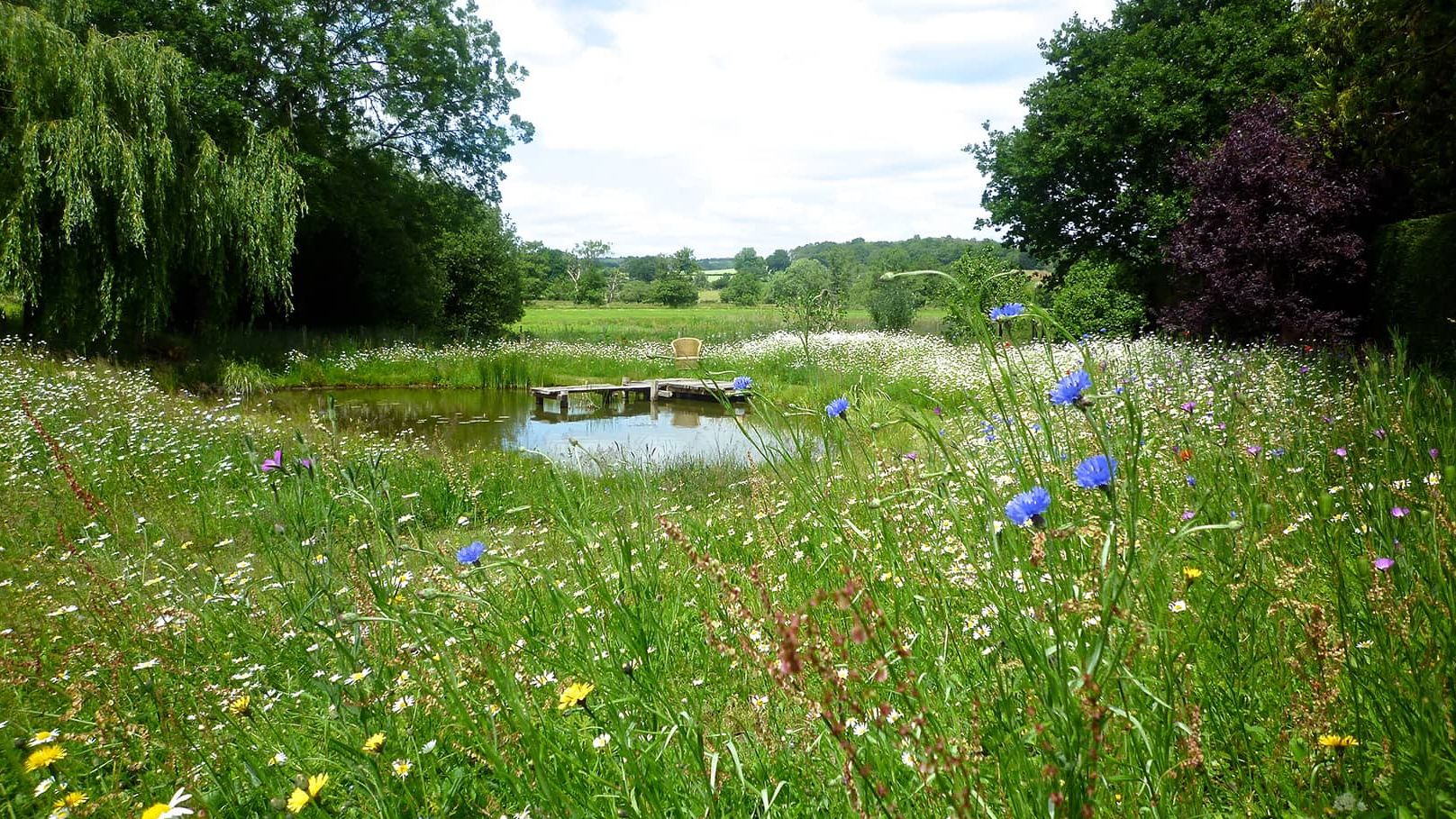 Image may contain: Nature, Outdoors, Pond, Water, Field, Grassland, Countryside, Meadow, Rural, Land, Plant, and Vegetation