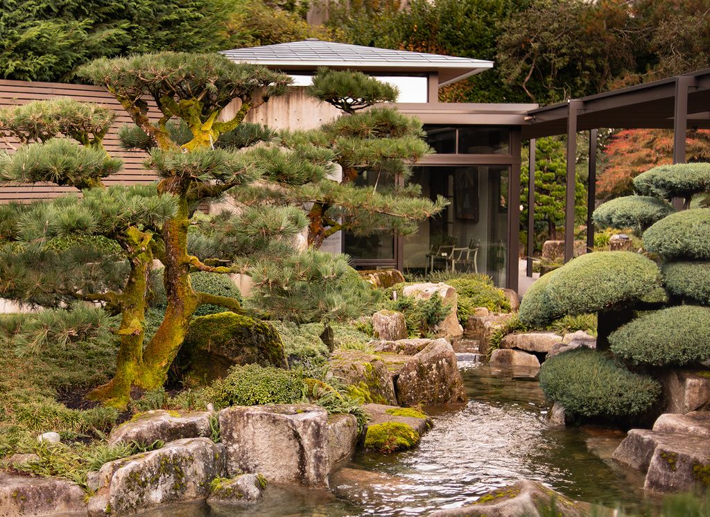 Image may contain Nature Outdoors Pond Water Garden Plant Tree Potted Plant Backyard Yard Moss and Vegetation