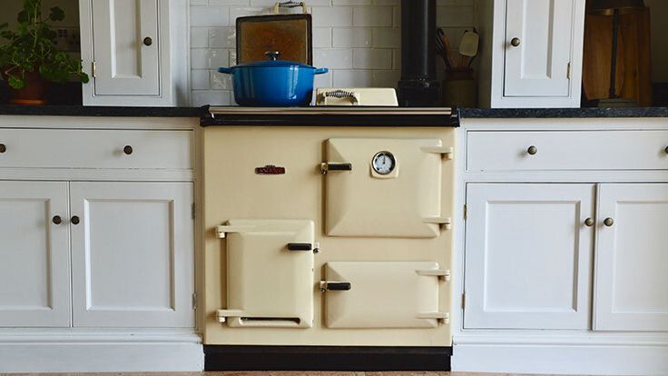 Image may contain: Plant, Indoors, Kitchen, Interior Design, Device, Shovel, and Tool