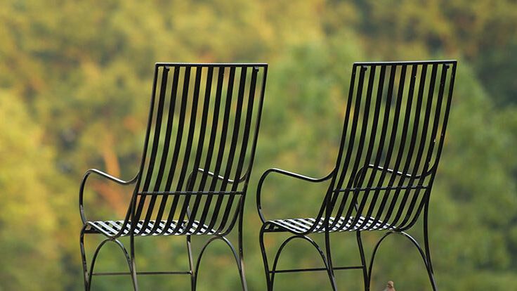 Image may contain: Furniture, Chair, Animal, and Bird