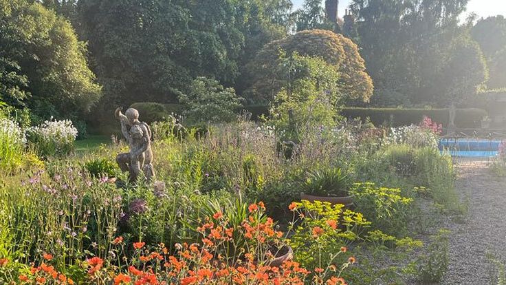 Image may contain: Garden, Nature, Outdoors, Plant, Vegetation, Grass, Park, Tree, Land, Woodland, Person, Flower, and Yard