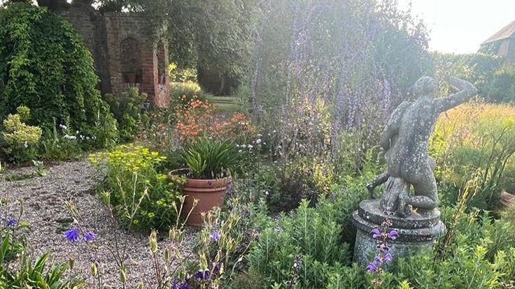 Image may contain: Garden, Nature, Outdoors, Plant, Vegetation, Backyard, Yard, Herbal, Herbs, Person, and Grass