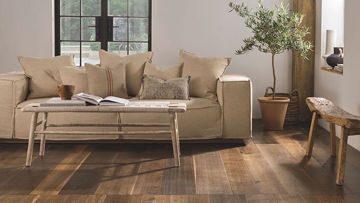 Image may contain: Floor, Book, Flooring, Publication, Wood, Hardwood, Indoors, Interior Design, Plant, Couch, and Furniture