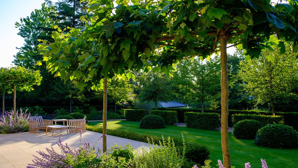 Image may contain: Grass, Nature, Outdoors, Park, Plant, Garden, Backyard, Yard, Vegetation, Tree, Arbour, Lawn, and Fence