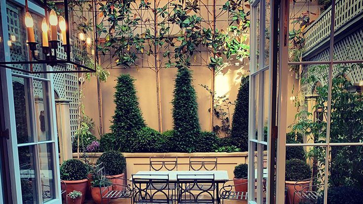 Image may contain: Plant, Indoors, Interior Design, Desk, Furniture, Table, Chair, Garden, Nature, Outdoors, Person, and Door