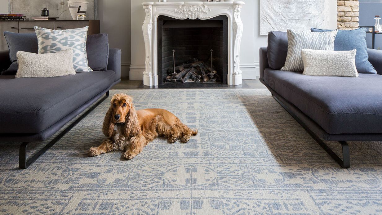 Image may contain: Home Decor, Animal, Canine, Dog, Mammal, Pet, Fireplace, Indoors, Couch, and Furniture