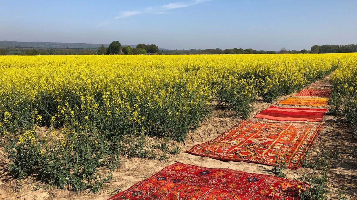Image may contain: Home Decor, Nature, Outdoors, Scenery, Rug, Field, and Landscape
