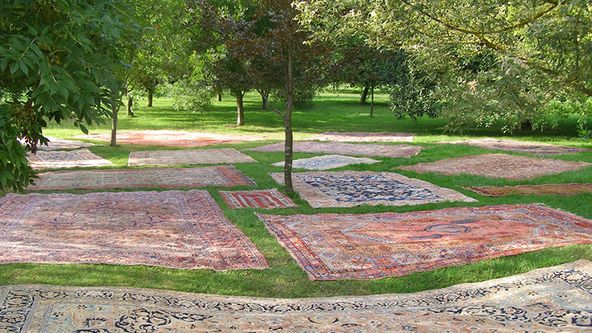Image may contain: Home Decor, Rug, Grass, Nature, Outdoors, Park, and Plant
