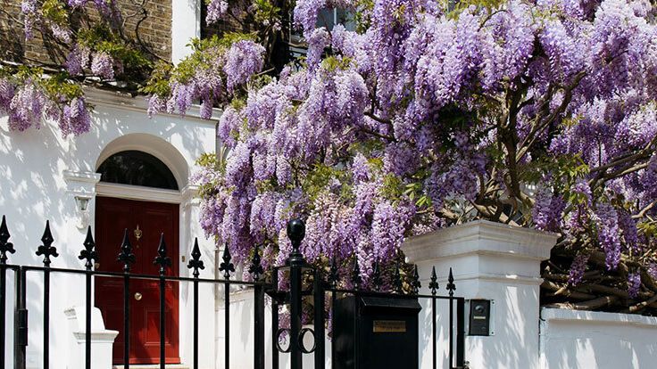 Image may contain: Flower, Plant, Electronics, Speaker, Architecture, Building, and Housing