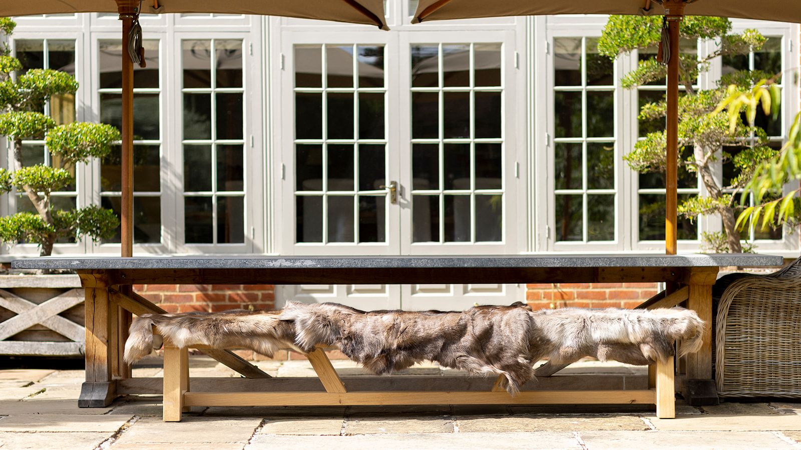 Image may contain: Plant, Potted Plant, Bench, Furniture, Window, Tree, Wood, Door, Architecture, Building, and Housing