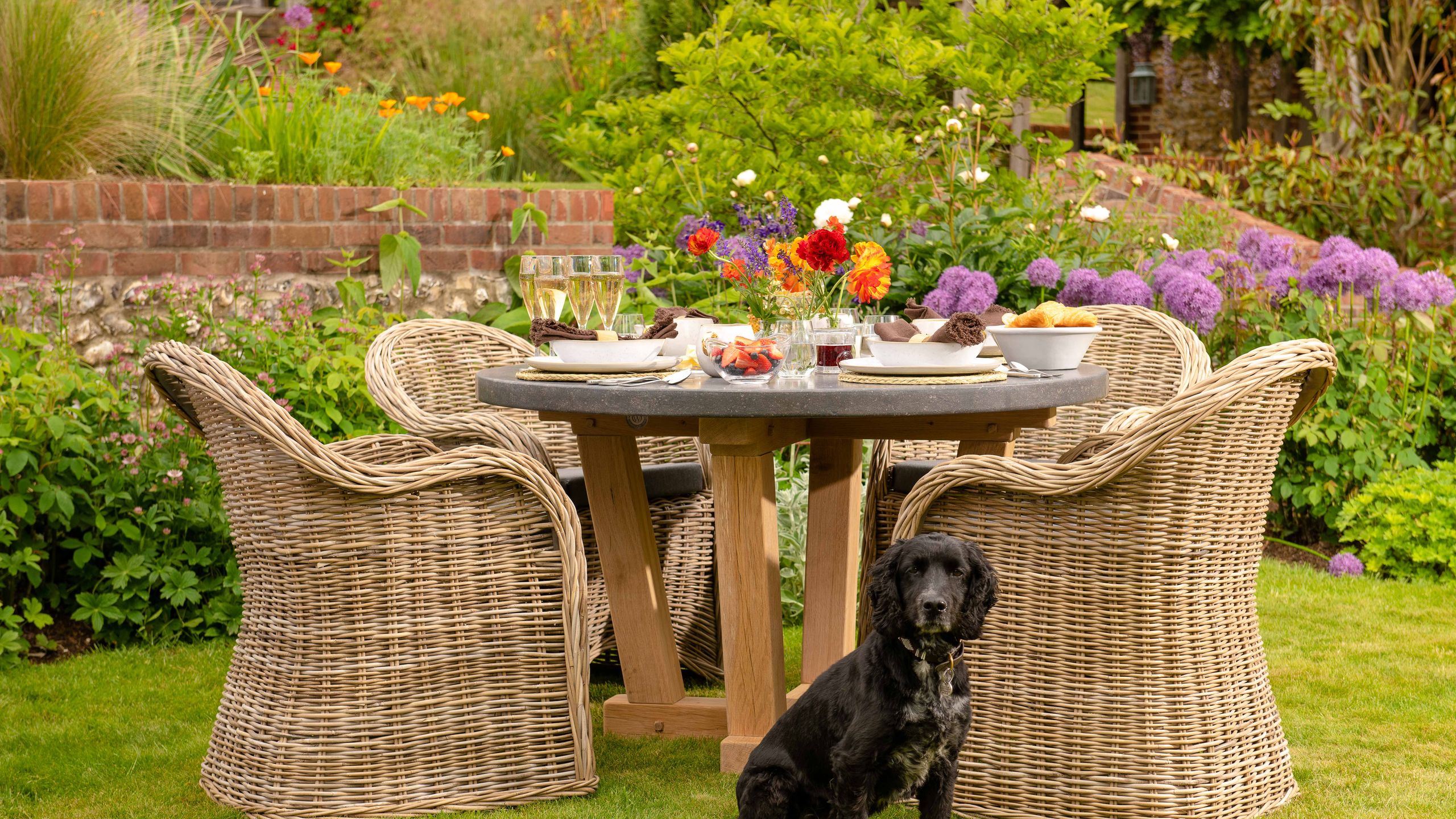 Image may contain: Dining Table, Furniture, Table, Grass, Plant, Backyard, Nature, Outdoors, Yard, Chair, Animal, and Canine