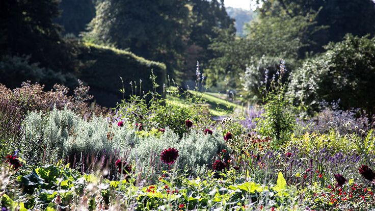 Image may contain: Garden, Nature, Outdoors, Plant, Vegetation, Grass, Land, Tree, Woodland, Slope, Park, Herbal, and Herbs