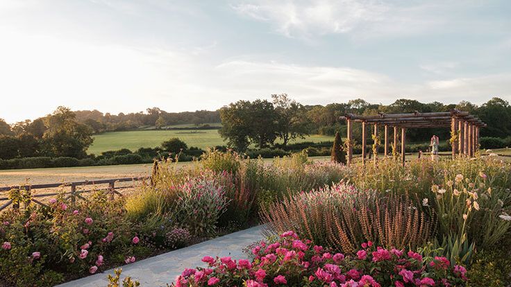 Image may contain: Garden, Nature, Outdoors, Grass, Plant, Vegetation, Architecture, Building, House, Housing, and Porch