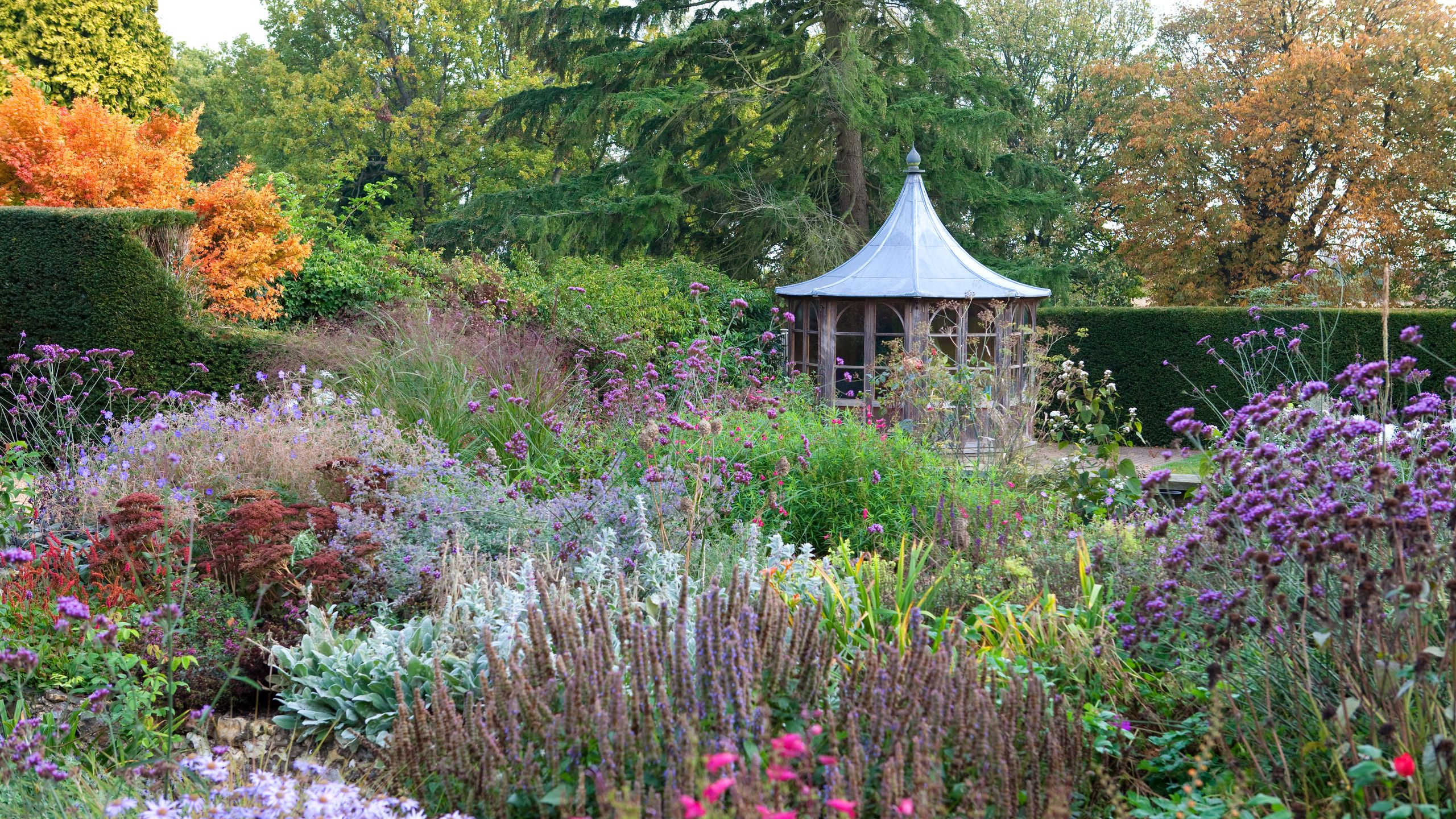 Image may contain: Garden, Nature, Outdoors, Plant, Vegetation, Grass, Park, Backyard, Yard, Herbal, Herbs, Flower, and Tree