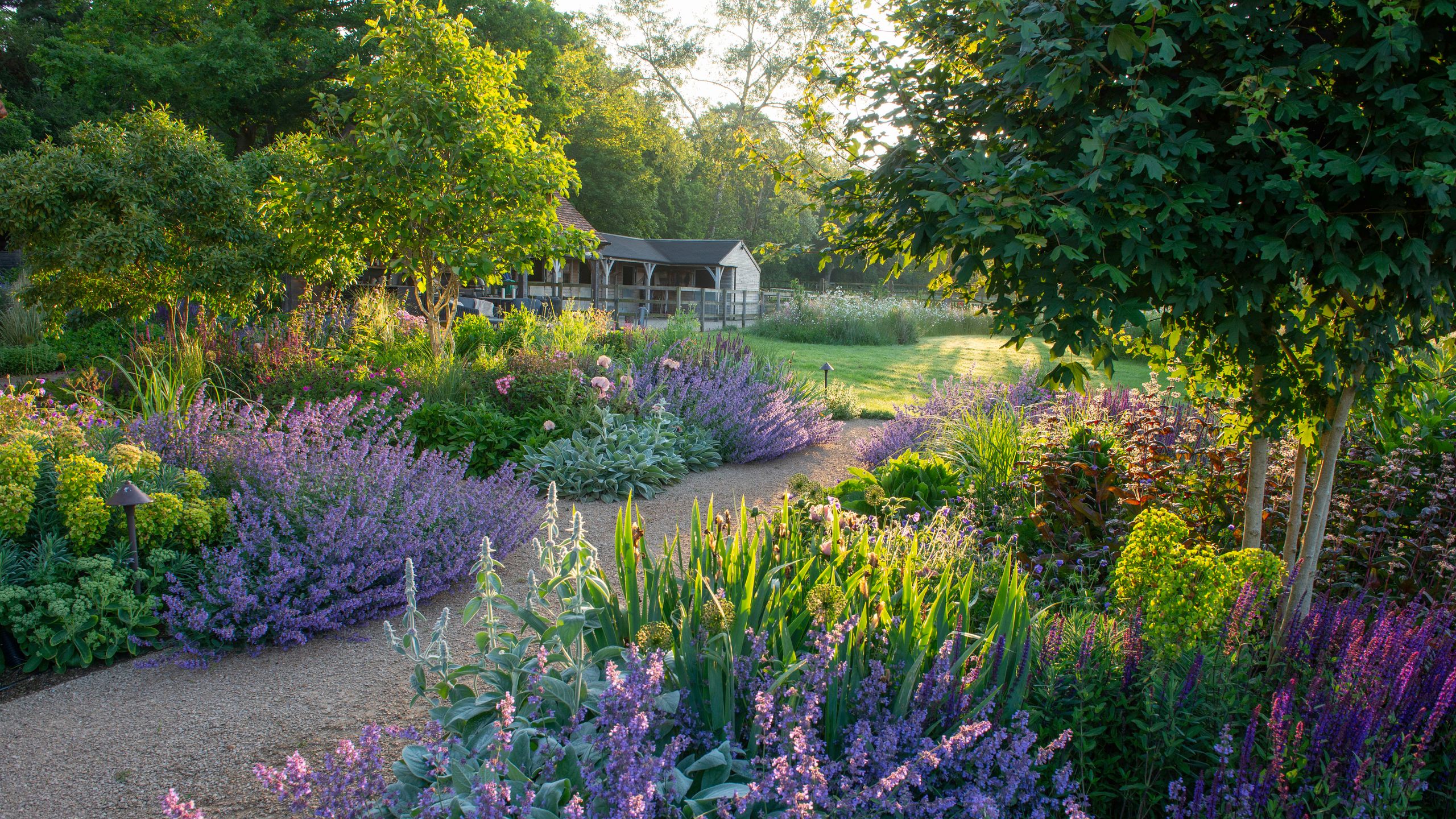 Image may contain: Garden, Nature, Outdoors, Plant, Vegetation, Grass, Park, Backyard, Yard, Land, Tree, Woodland, and Herbal