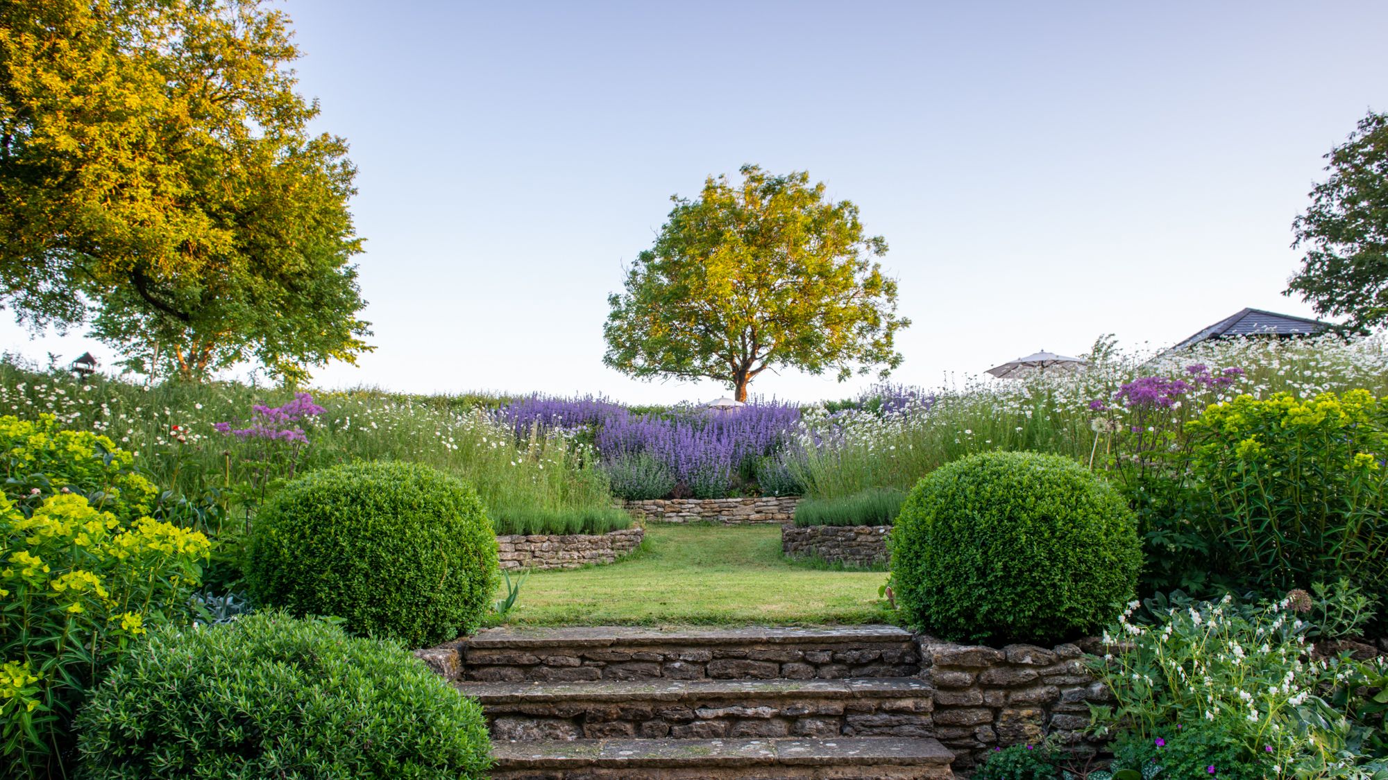 Image may contain: Grass, Nature, Outdoors, Park, Plant, Garden, Vegetation, Tree, Landscape, Land, Woodland, and Fence