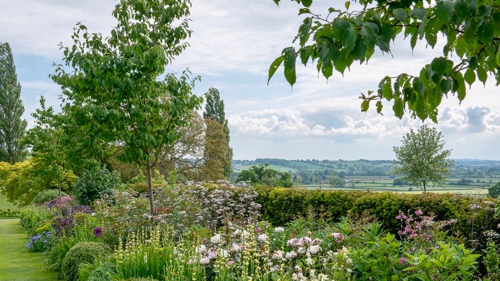 Image may contain: Grass, Plant, Garden, Nature, Outdoors, Park, Vegetation, Scenery, Landscape, Herbal, Herbs, and Land