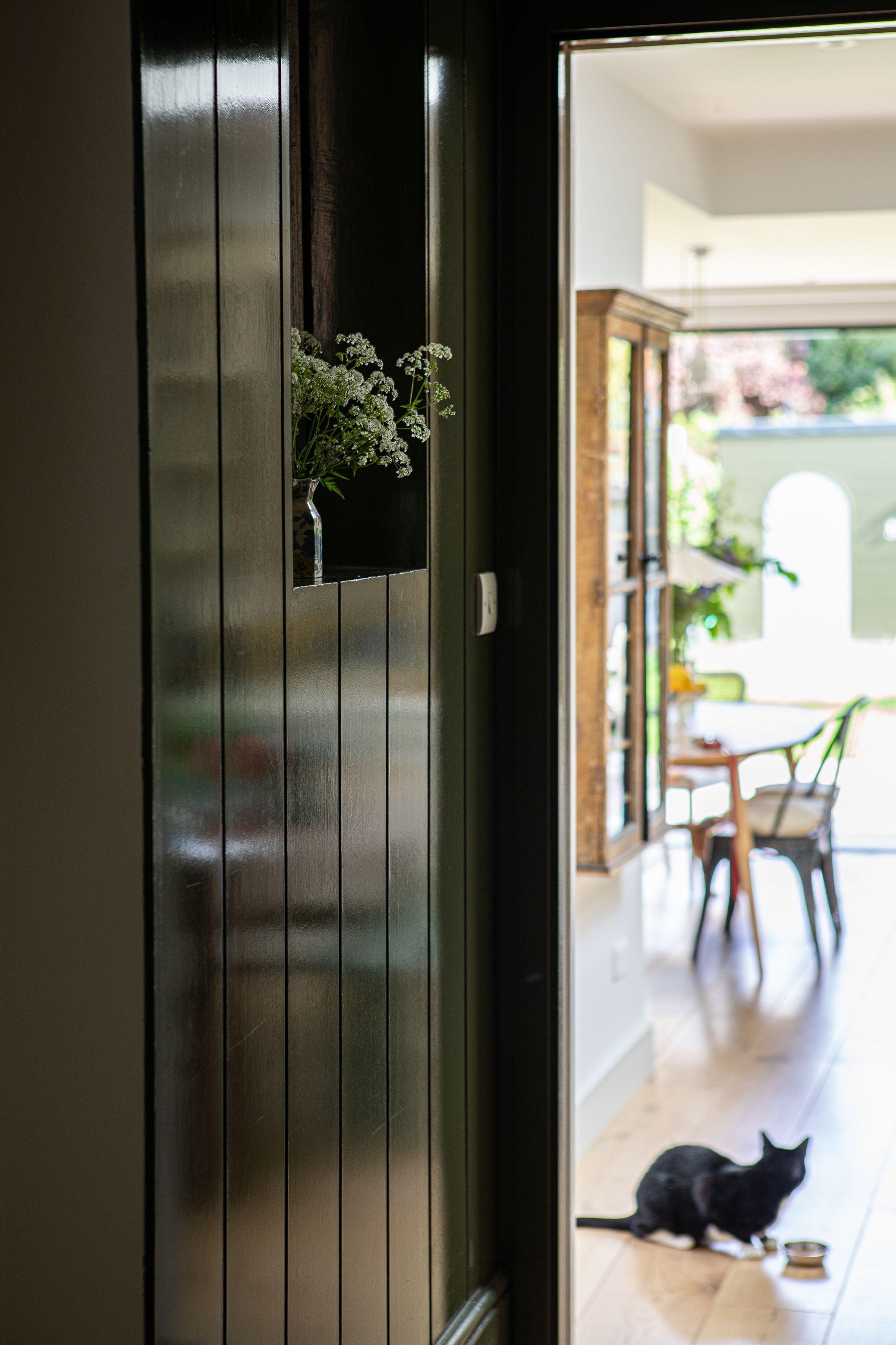 Image may contain: Door, Plant, Potted Plant, Floor, Flooring, Indoors, Interior Design, Animal, Cat, Mammal, Pet, and Wood