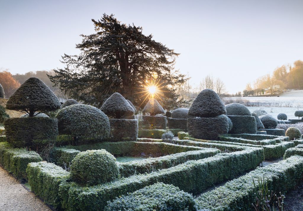 Image may contain Outdoors Nature and Garden