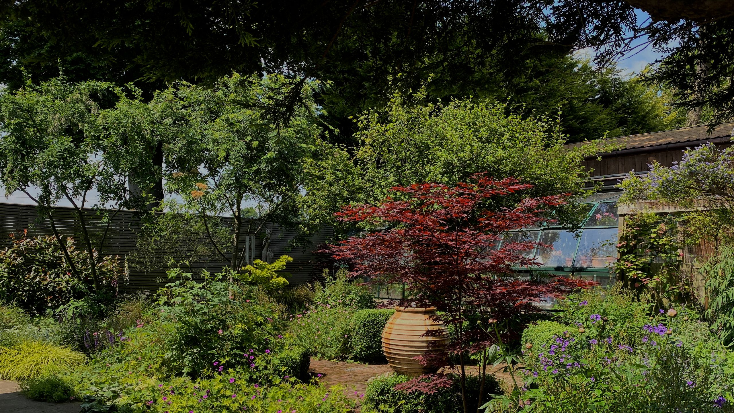 Image may contain: Garden, Nature, Outdoors, Backyard, Yard, Plant, Vegetation, Herbal, Herbs, Potted Plant, Grass, and Tree