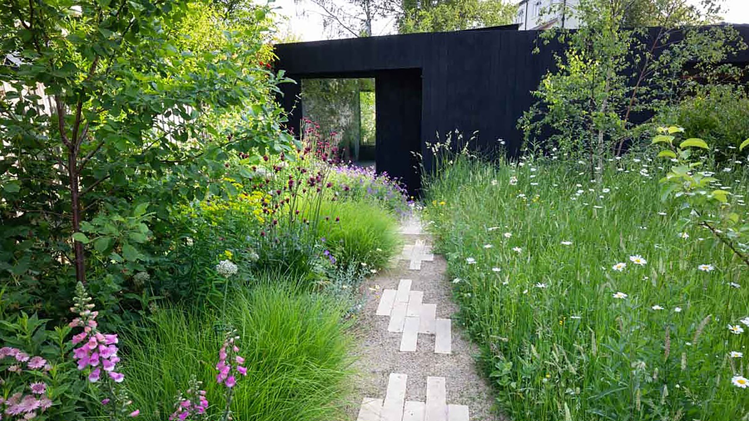 Image may contain: Garden, Nature, Outdoors, Herbal, Herbs, Plant, Backyard, Yard, Path, Grass, Vegetation, and Walkway