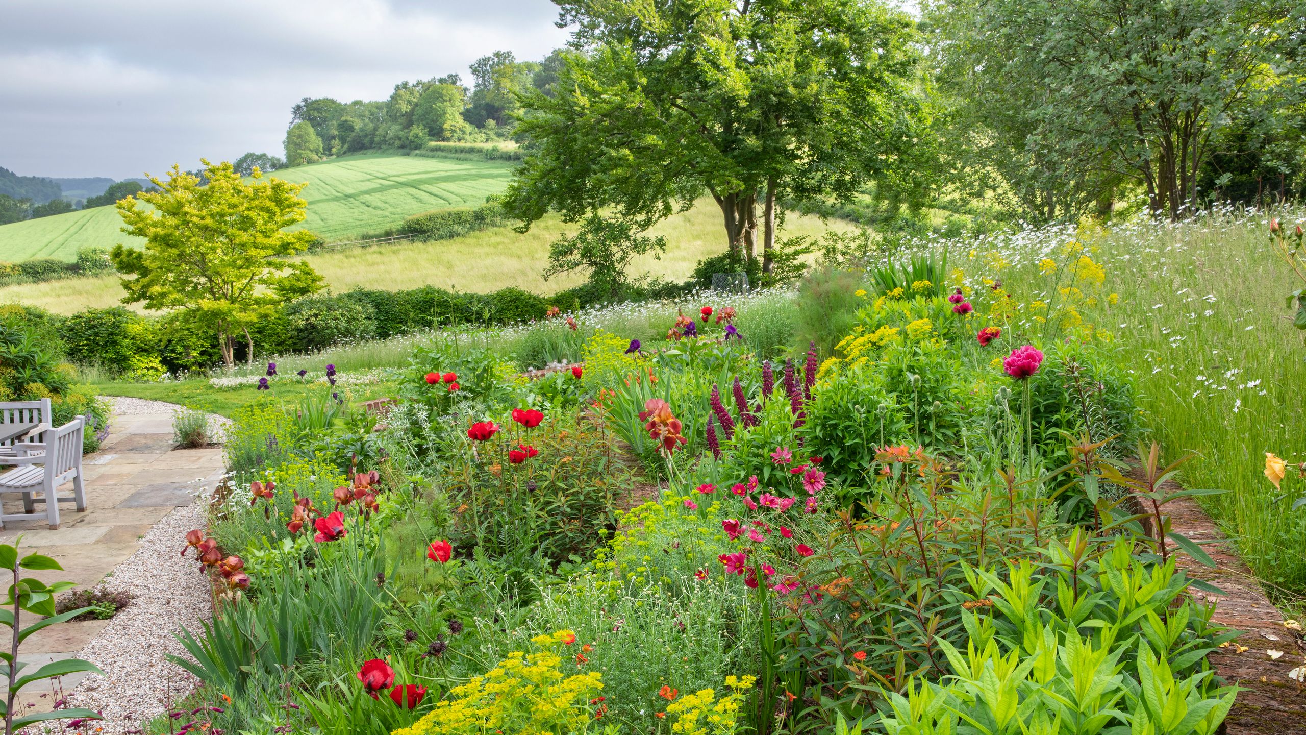 Image may contain: Plant, Vegetation, Garden, Nature, Outdoors, Herbal, Herbs, Grass, Park, Field, Grassland, and Scenery