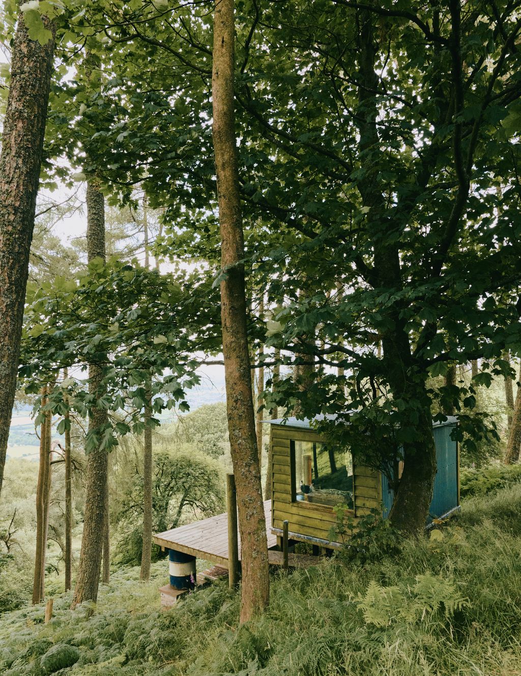 Image may contain Architecture Building Housing House Cabin Cabin In The Woods Plant and Tree