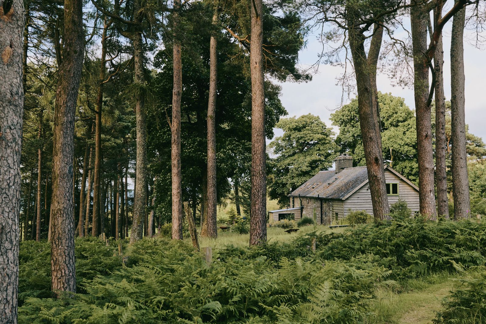 Image may contain Architecture Building Housing Cabin Cabin In The Woods House and Cottage