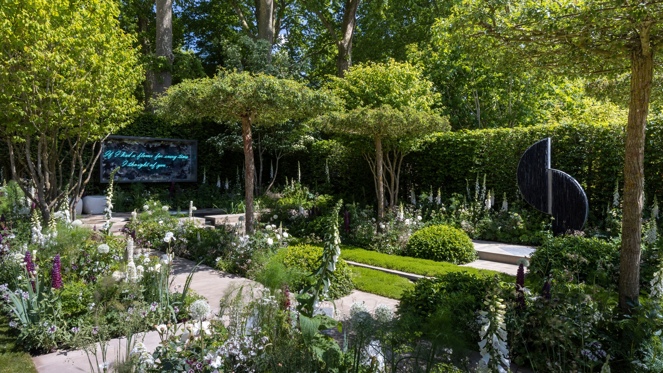 Image may contain: Grass, Nature, Outdoors, Park, Plant, Garden, Grove, Land, Tree, Vegetation, Woodland, Backyard, and Yard