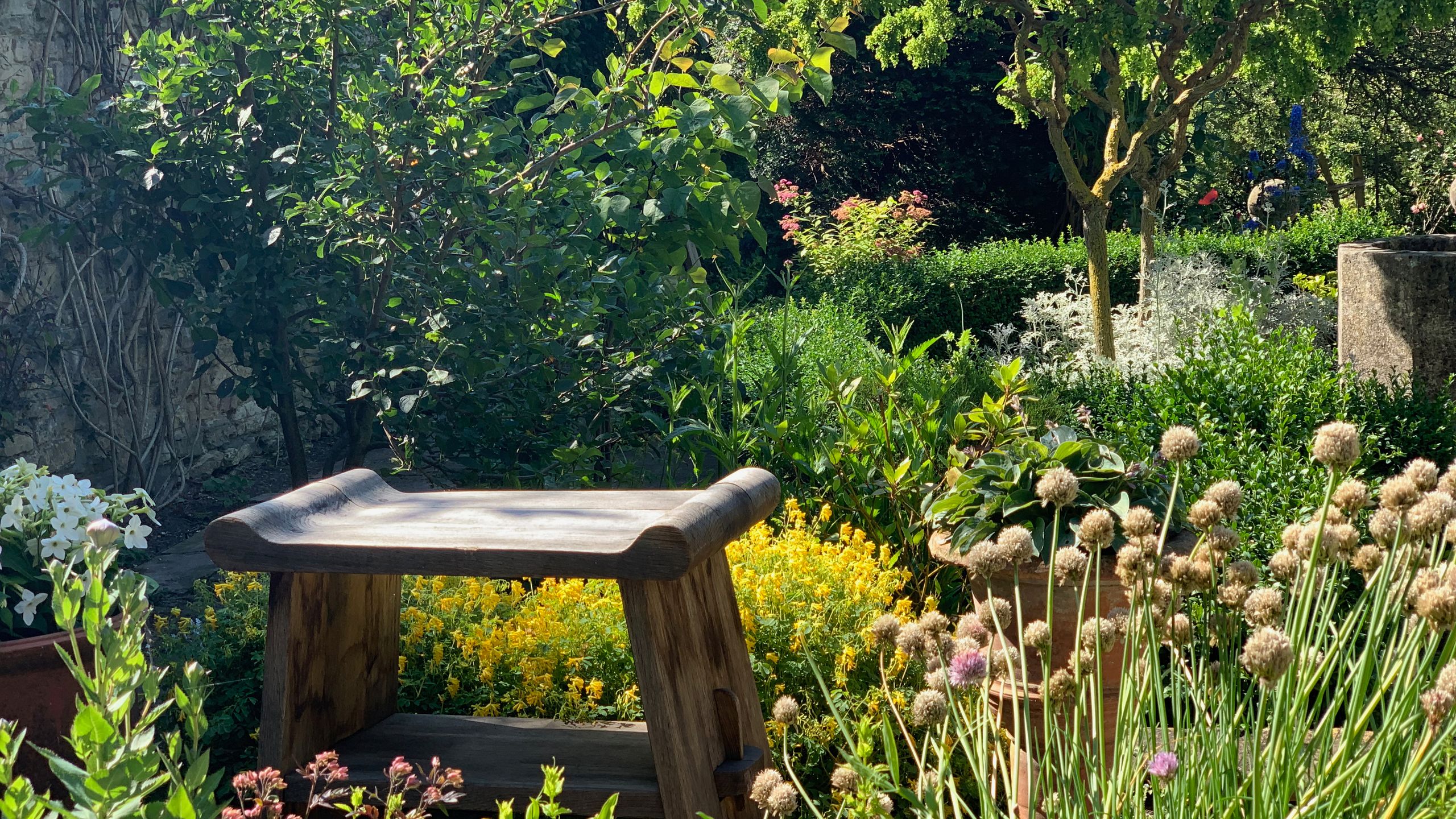 Image may contain: Garden, Nature, Outdoors, Grass, Plant, Vegetation, Indoors, Interior Design, Herbal, Herbs, and Backyard