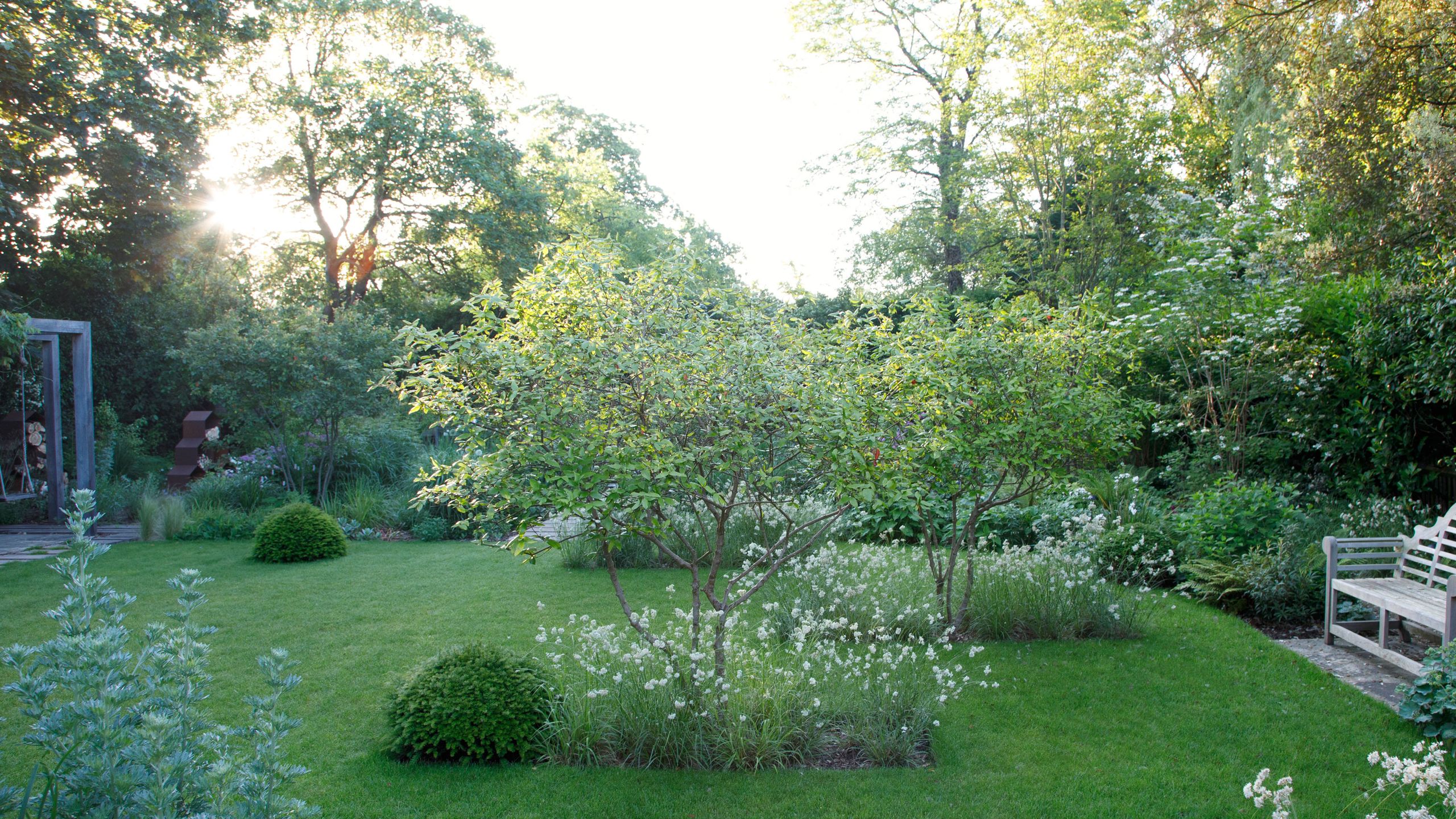 Image may contain: Backyard, Nature, Outdoors, Yard, Grass, Plant, Garden, Vegetation, Lawn, Park, Bench, Furniture, and Land