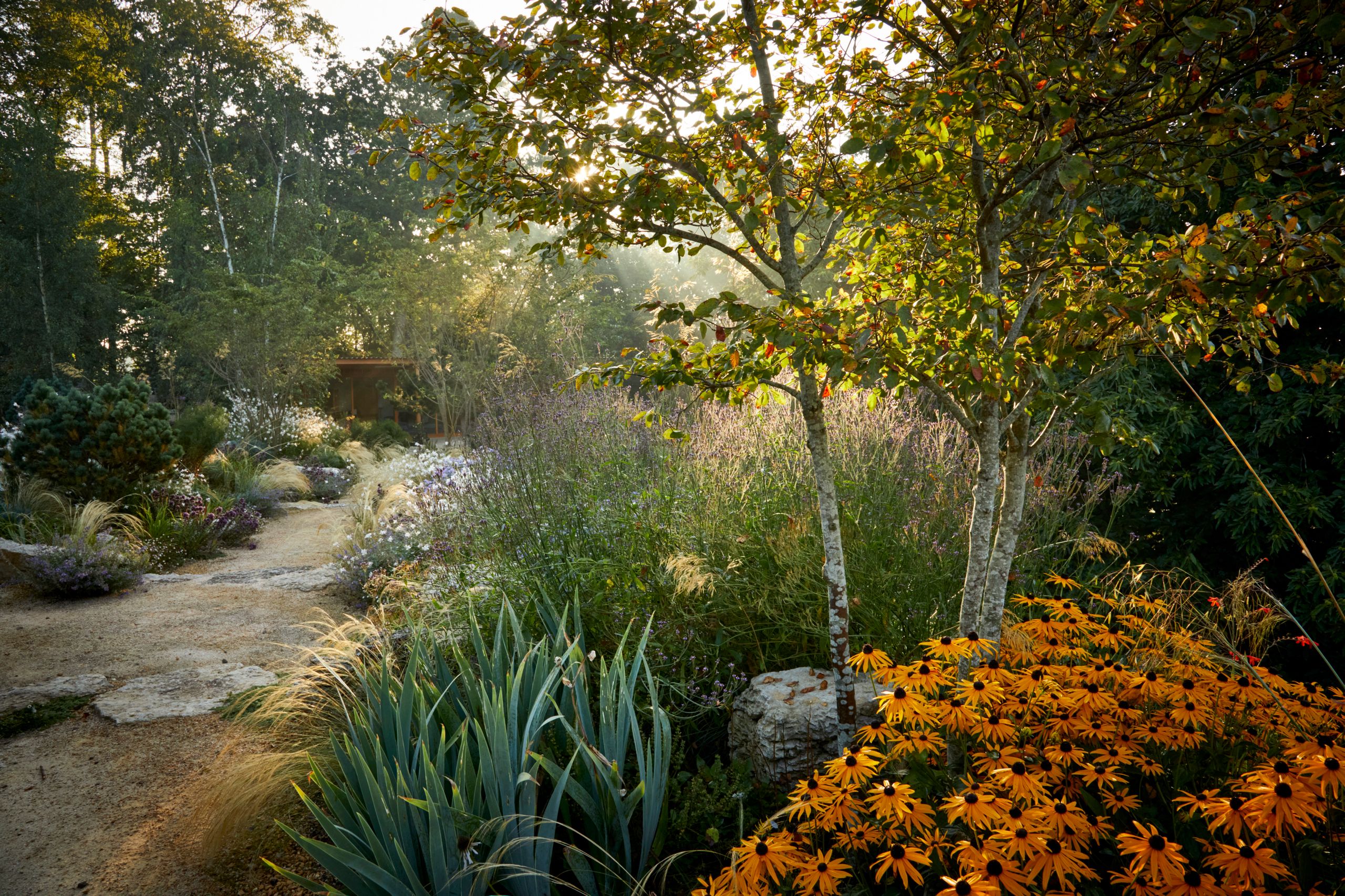 Image may contain: Plant, Vegetation, Land, Nature, Outdoors, Tree, Woodland, Jungle, Leaf, Path, Herbal, and Herbs