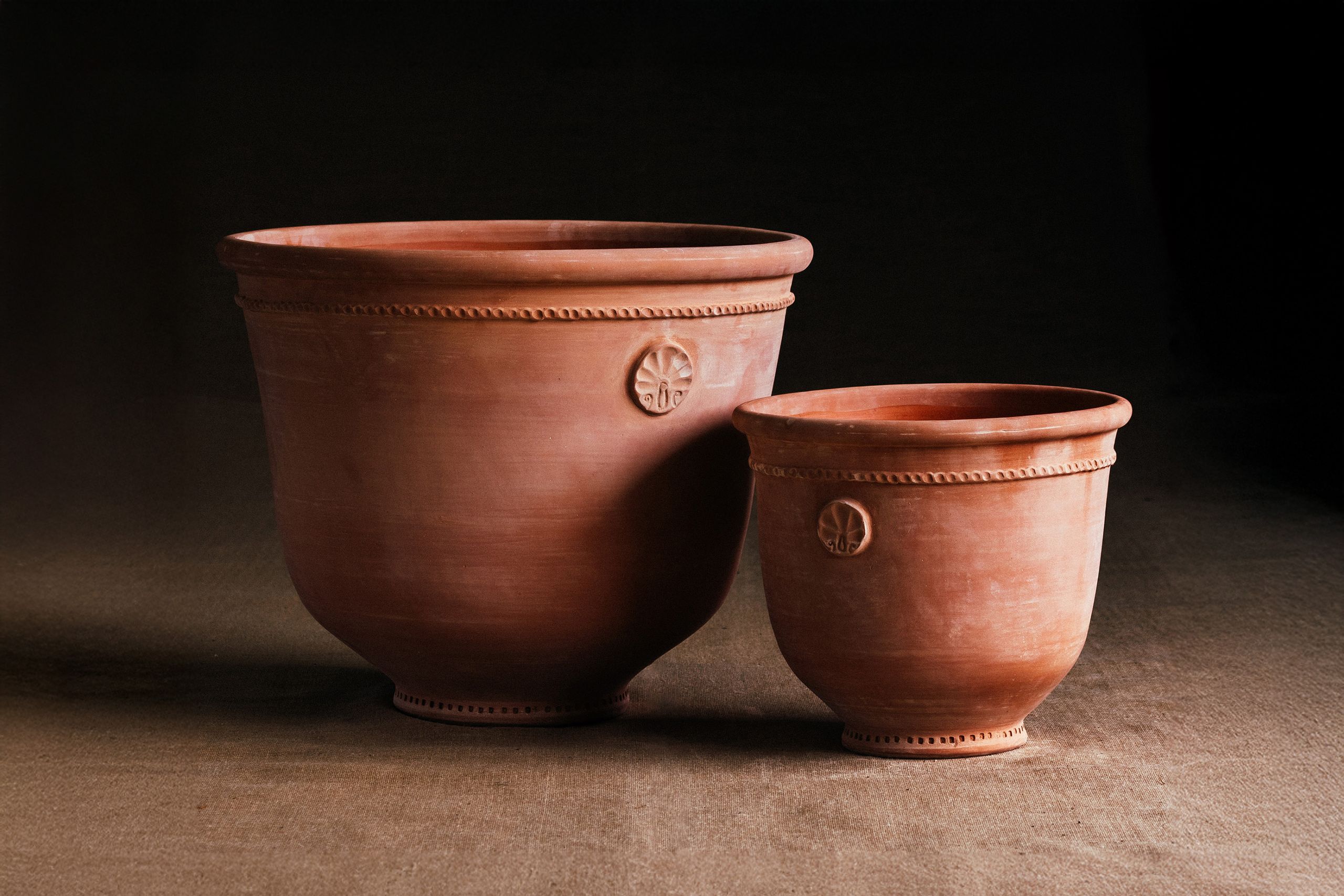 Image may contain: Cookware, Pot, and Plant