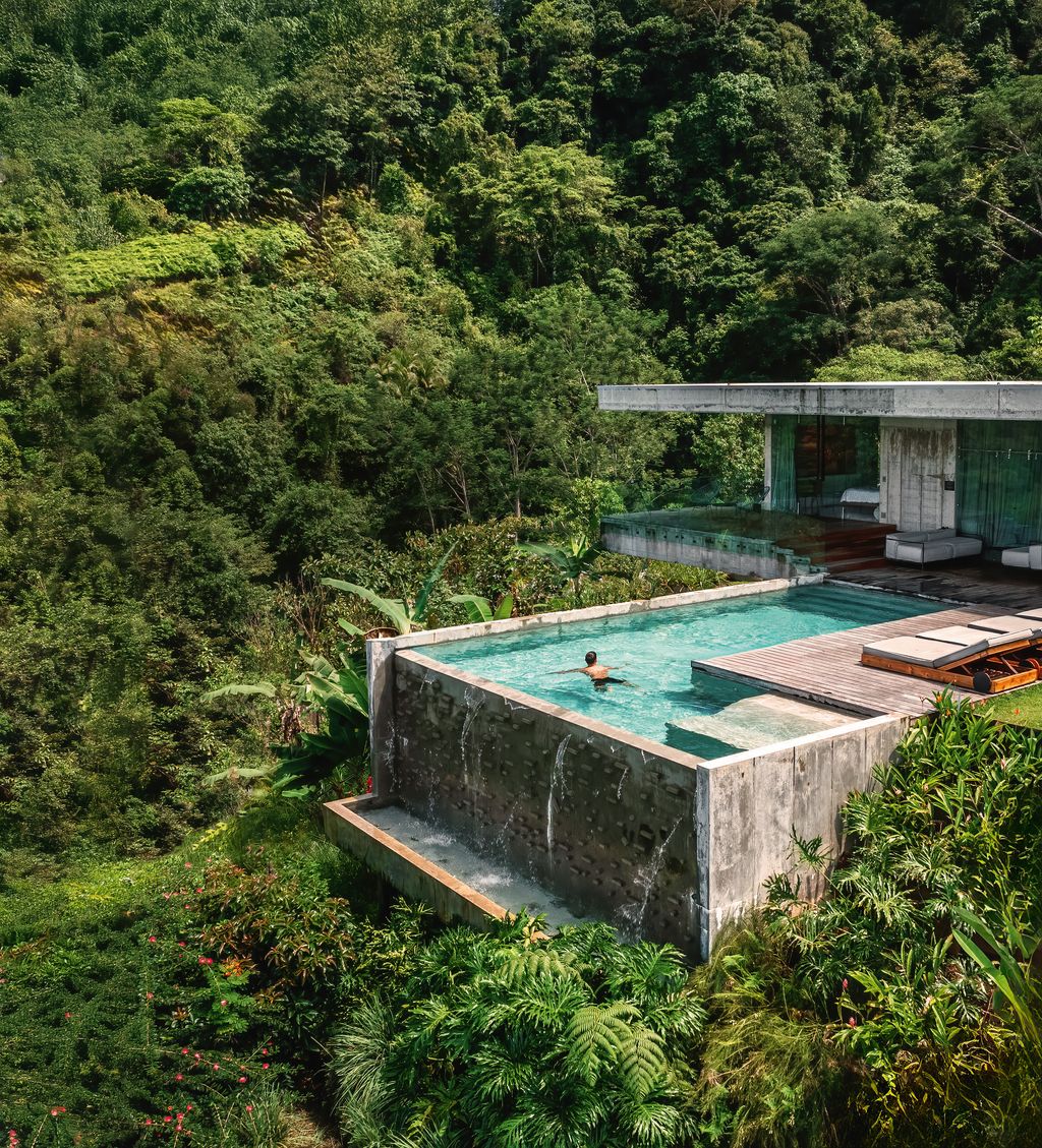 Image may contain Pool Water Swimming Pool Plant Vegetation Outdoors Land Nature Tree Woodland and Person