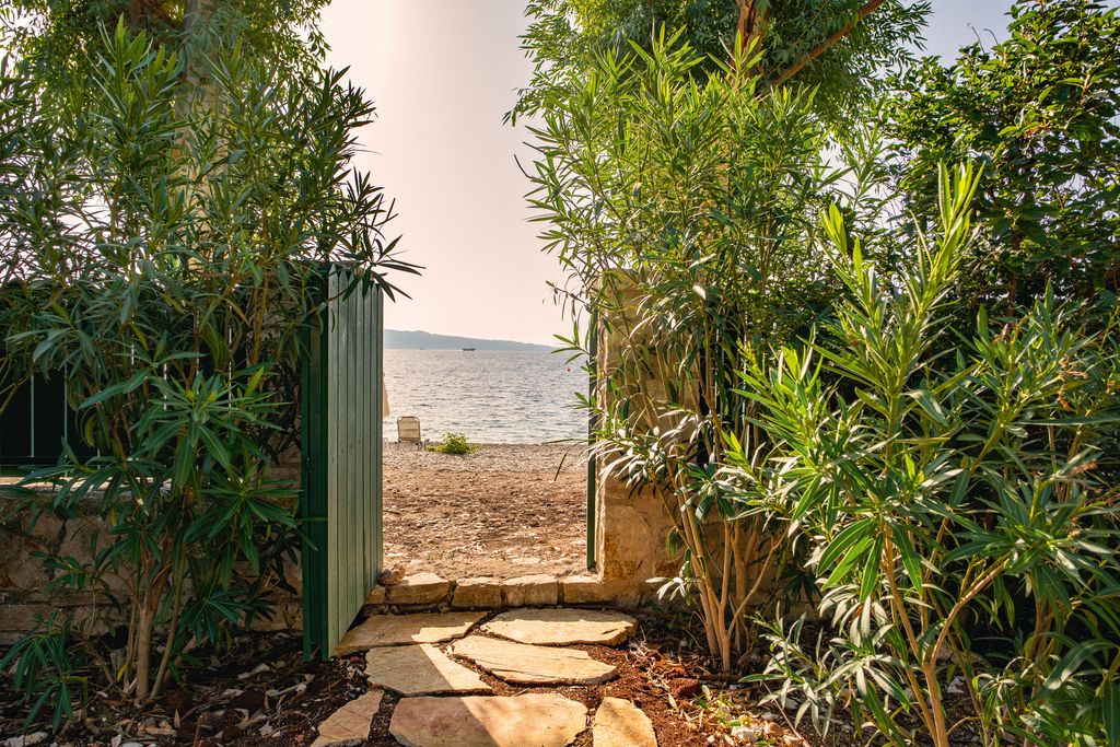 Image may contain Nature Outdoors Scenery Summer Plant Vegetation Path Walkway and Garden