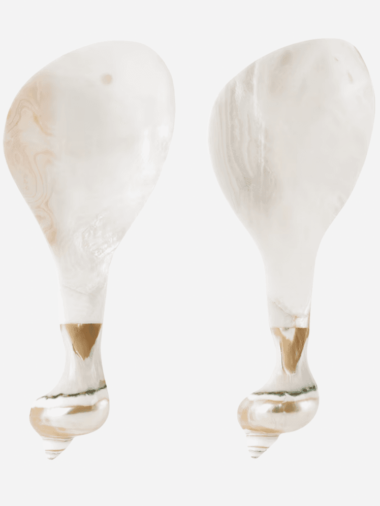 Image may contain Cutlery Animal Invertebrate Sea Life Seashell Art Porcelain Pottery and Spoon