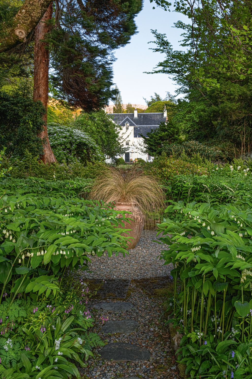 Image may contain Plant Vegetation Garden Nature Outdoors Path Land Tree Woodland Herbal Herbs and Architecture