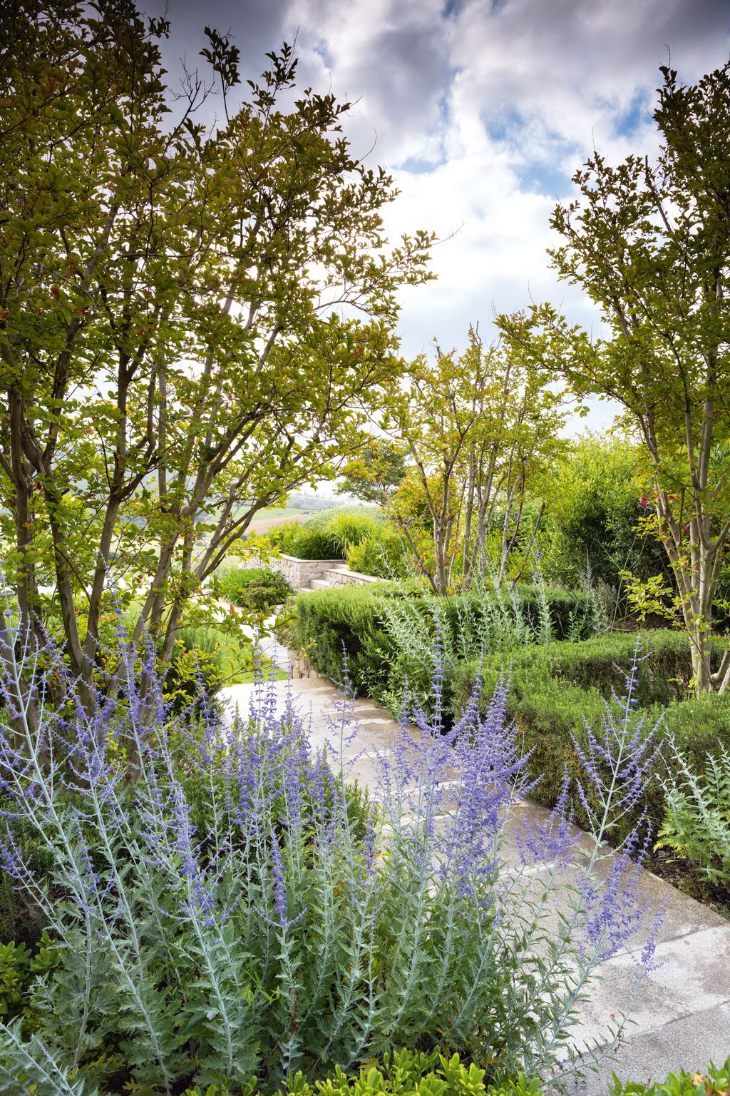 Image may contain Garden Nature Outdoors Plant Vegetation Grass Herbal Herbs Path Park Land Tree and Woodland