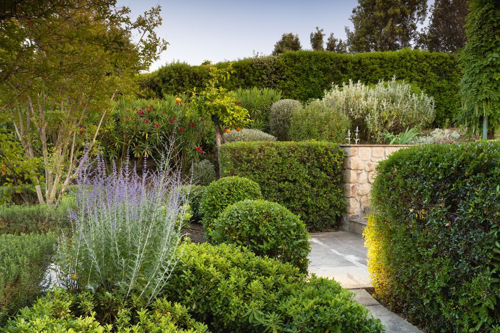 Image may contain Garden Nature Outdoors Fence Hedge Plant Vegetation Grass Park and Tree