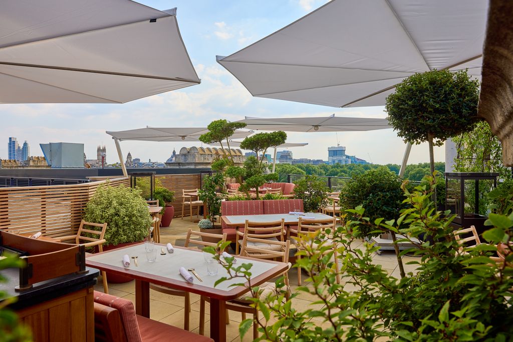 Image may contain Terrace Chair Furniture Plant Desk Table Pen Cup and Canopy