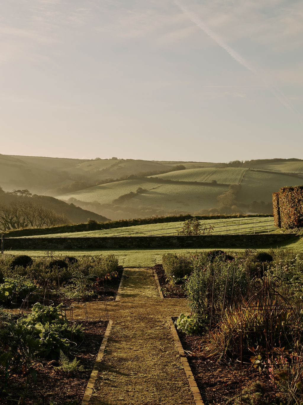 Image may contain Path Grass Plant Landscape Nature Outdoors Scenery Field Grassland Walkway Sky and Trail
