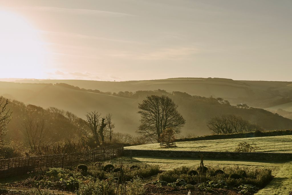 Image may contain Landscape Nature Outdoors Scenery Plant Tree Grass Sky Vegetation Weather Ground and Sunlight