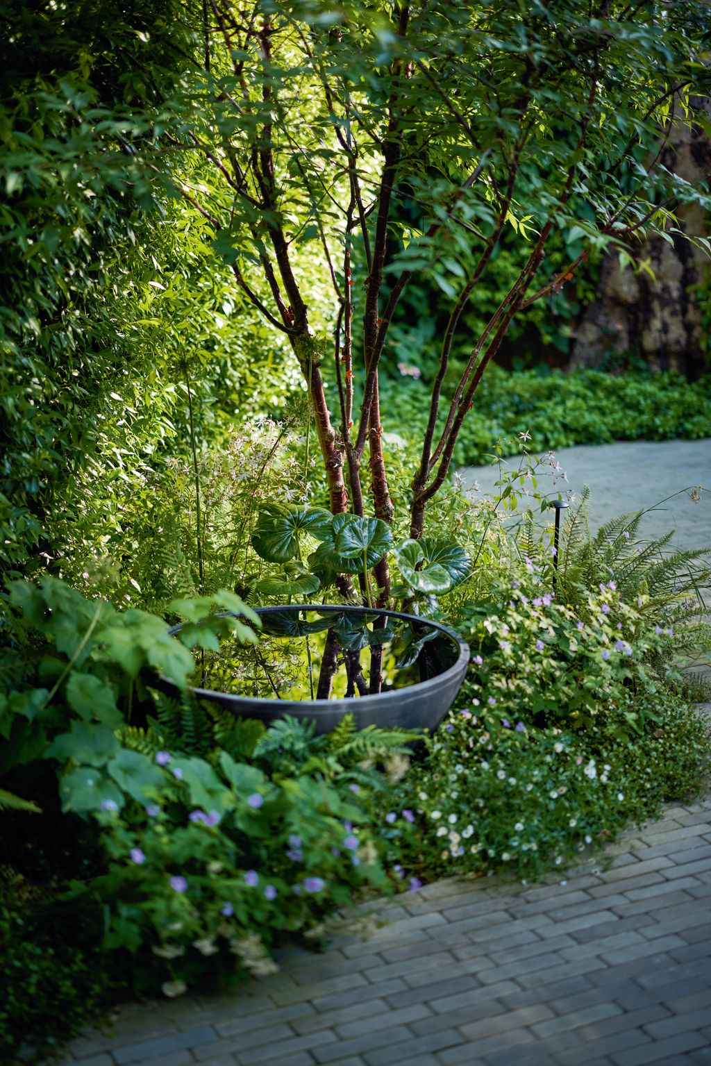Image may contain Path Garden Nature Outdoors Walkway Plant Potted Plant Jar Planter Pottery Vase and Flagstone