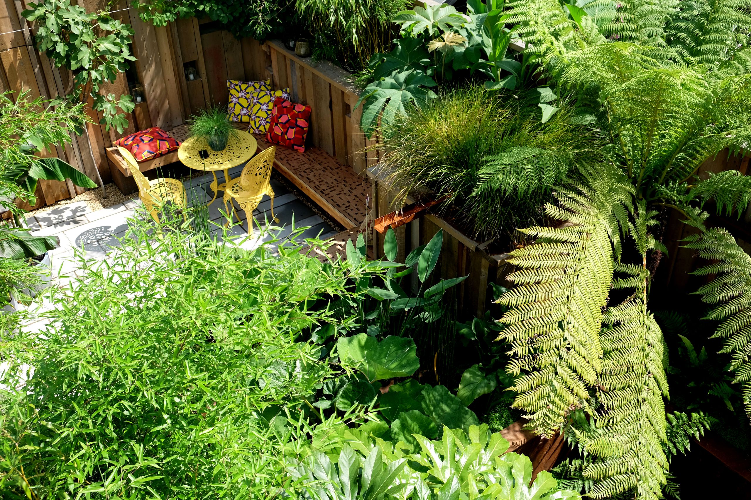 Image may contain: Backyard, Nature, Outdoors, Yard, Garden, Plant, Chair, Furniture, Indoors, Interior Design, and Fern