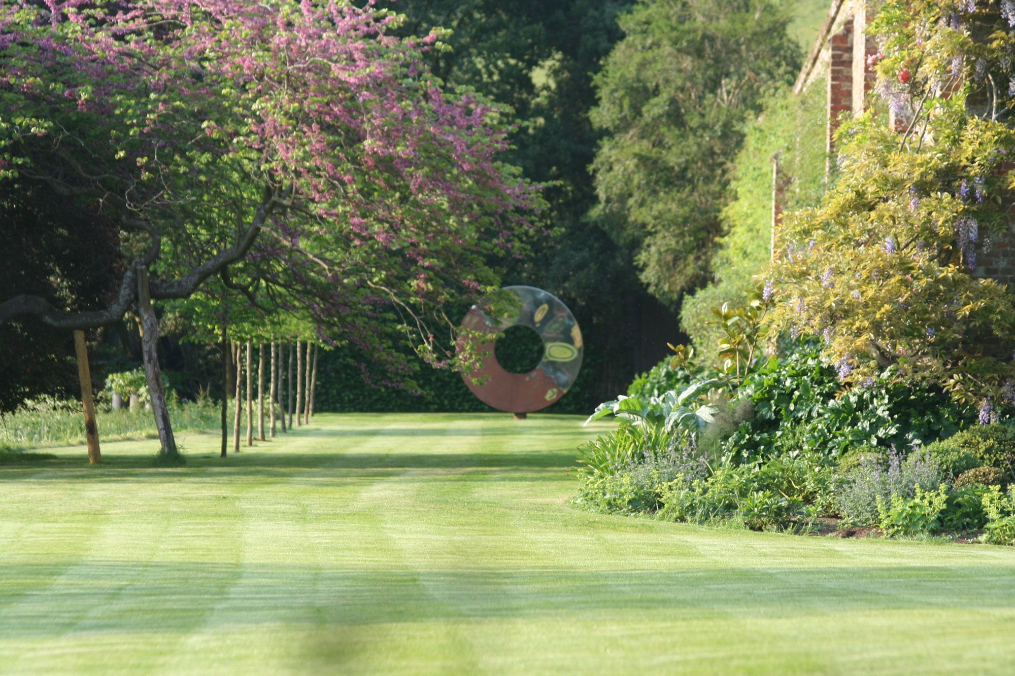 Image may contain: Grass, Plant, Grove, Land, Nature, Outdoors, Tree, Vegetation, Woodland, Park, Garden, Lawn, and Green