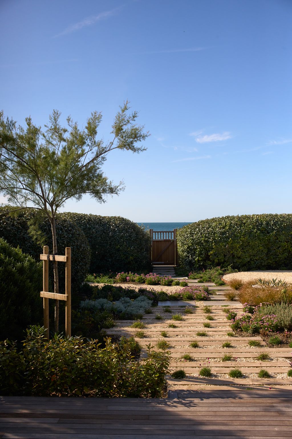 Image may contain Nature Outdoors Scenery Plant Vegetation Garden Tree Grass Wood Yard Landscape Fence and Hedge