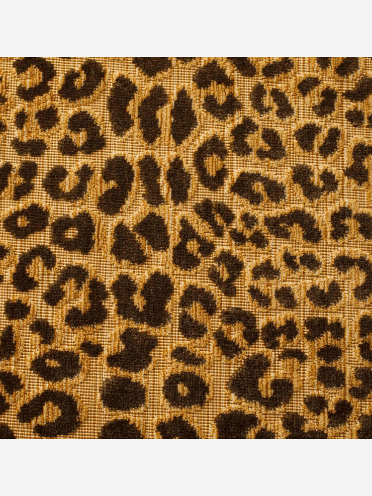 Image may contain: Home Decor, and Rug