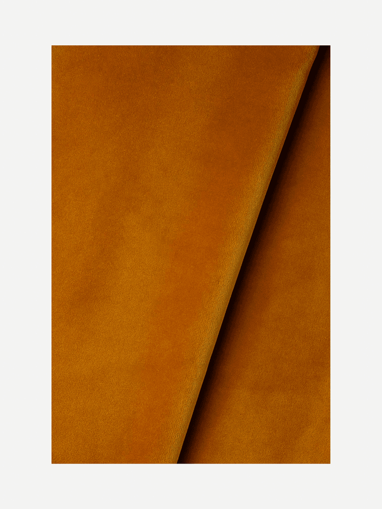 Image may contain: Velvet