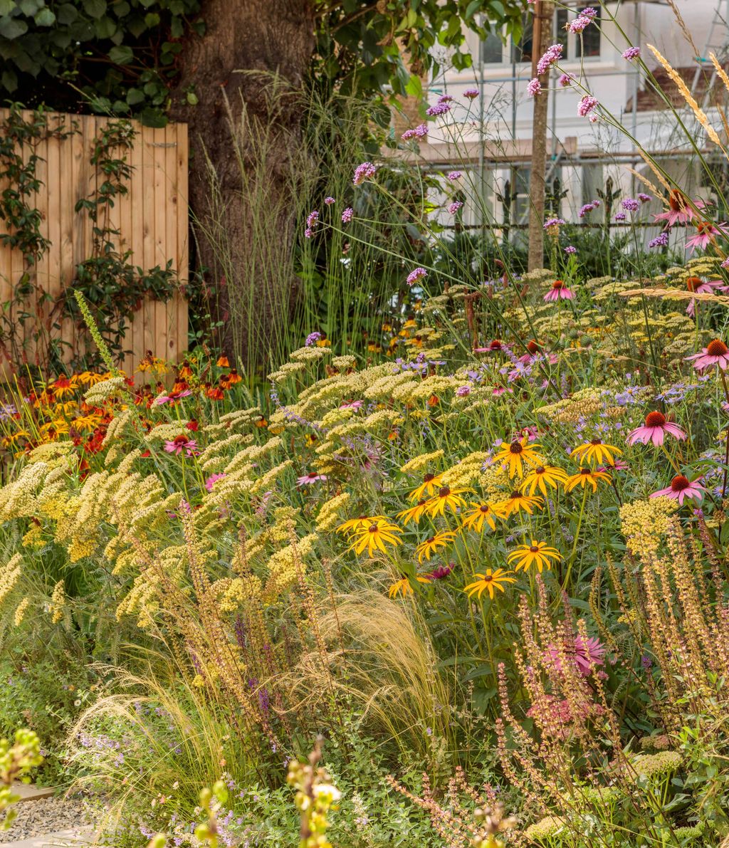 Image may contain Garden Nature Outdoors Plant Vegetation Backyard Yard Indoors Interior Design Herbal and Herbs